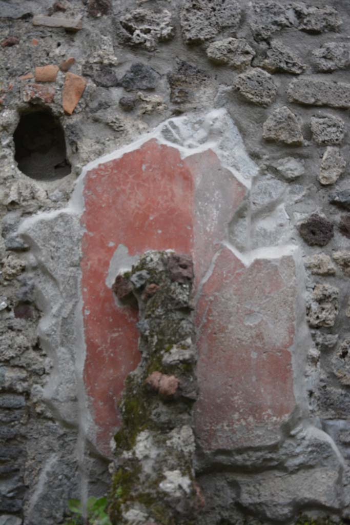 IX.5.9 Pompeii. March 2017. Room “n/q”, detail of painted decoration at rear of separating wall. 
Foto Christian Beck, ERC Grant 681269 DÉCOR.