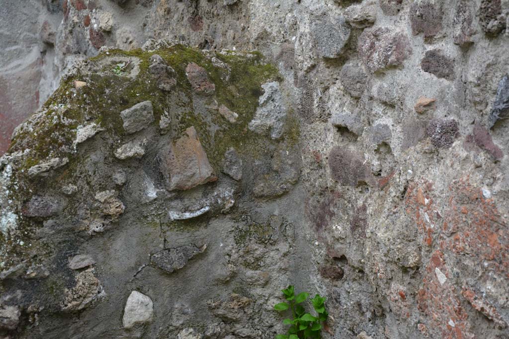 IX.5.9 Pompeii. March 2017. Room “n”, looking south towards detail of dividing wall.  
Foto Christian Beck, ERC Grant 681269 DÉCOR.
