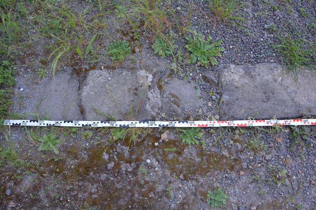 IX.5.9 Pompeii. May 2017. Room “p”, detail of doorway threshold at west end.
Foto Christian Beck, ERC Grant 681269 DÉCOR.