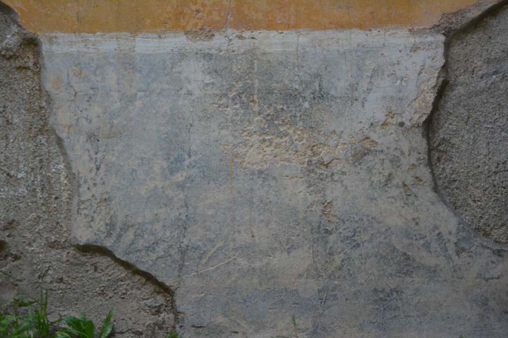 IX.5.9 Pompeii. March 2017. Room “p”, detail from zoccolo, according to PPM – this was painted black.
Foto Christian Beck, ERC Grant 681269 DÉCOR.