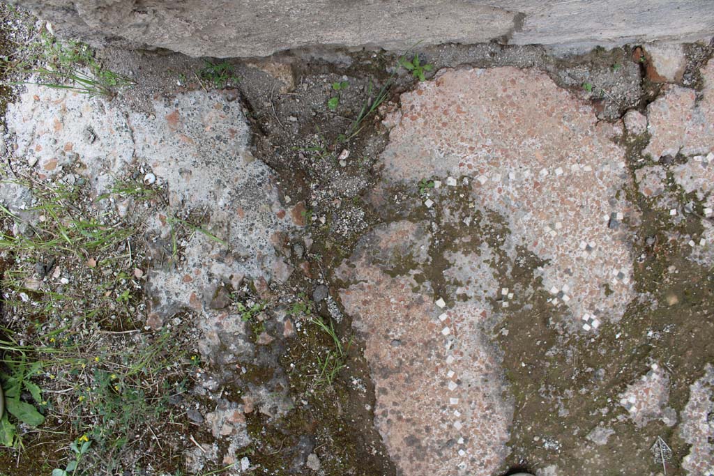 IX.5.9 Pompeii. May 2019. Room p, flooring near north wall and doorway, on left.  
Foto Christian Beck, ERC Grant 681269 DÉCOR