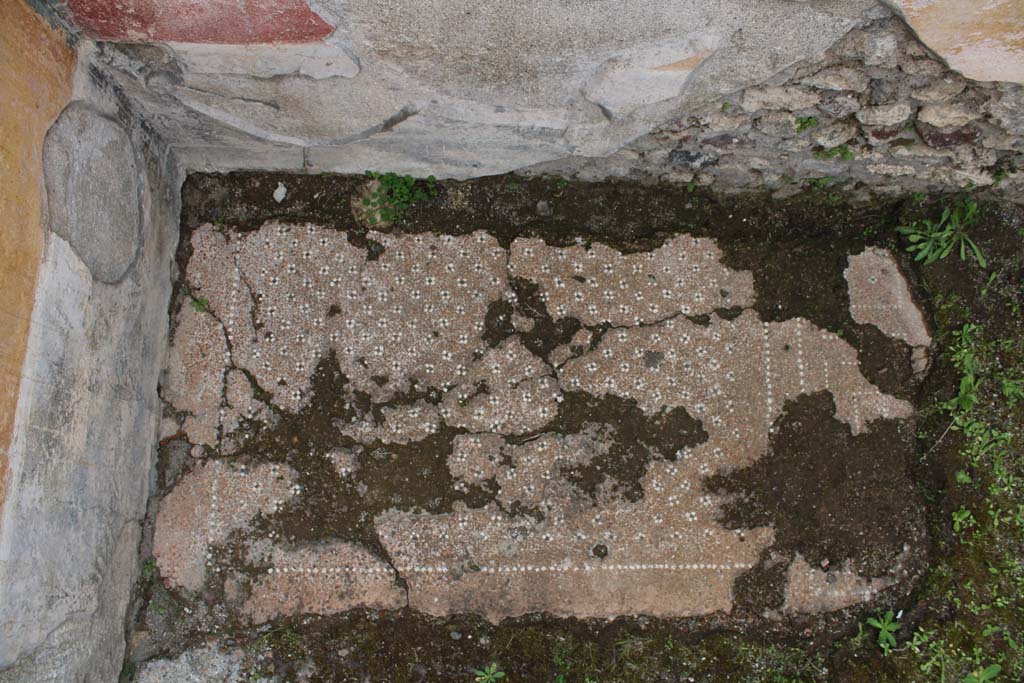 IX.5.9 Pompeii. May 2019. Room p, looking towards flooring in north-east corner.  
Foto Christian Beck, ERC Grant 681269 DÉCOR