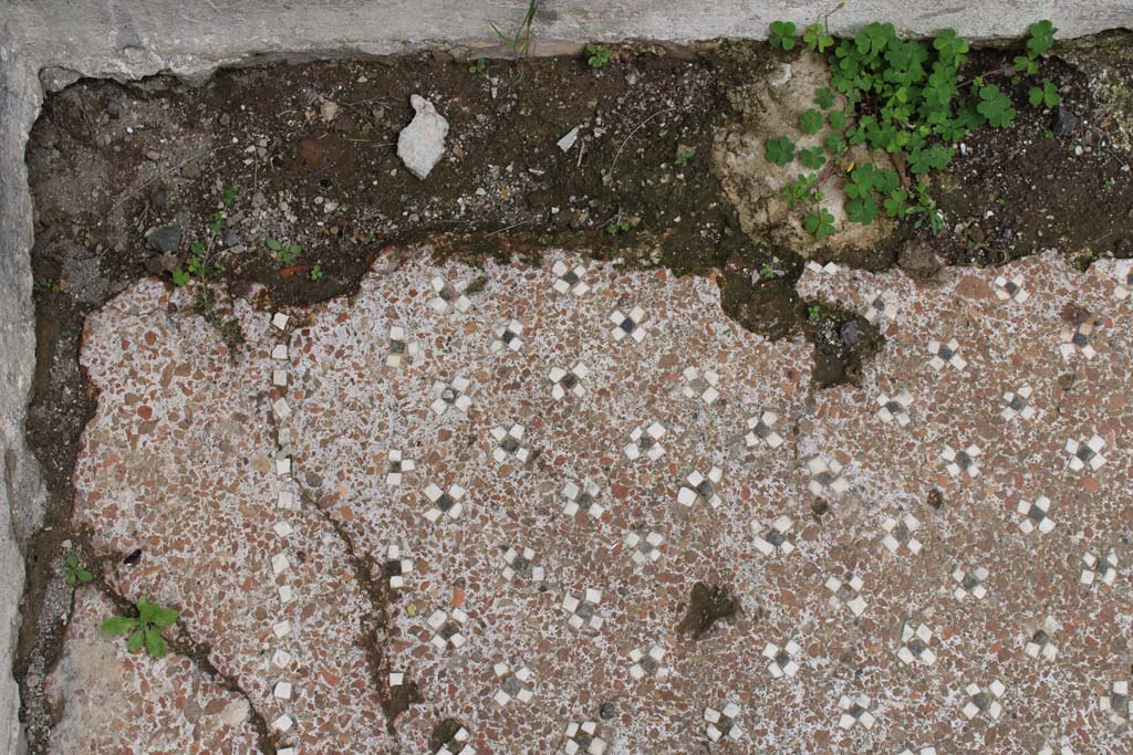 IX.5.9 Pompeii. May 2019. Room p, detail of flooring of cocciopesto with black and white tesserae in north-east corner.  
Foto Christian Beck, ERC Grant 681269 DÉCOR