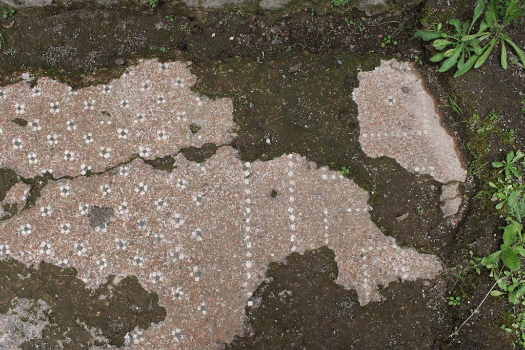 IX.5.9 Pompeii. May 2019. Room p, detail of flooring at south end.   
Foto Christian Beck, ERC Grant 681269 DÉCOR