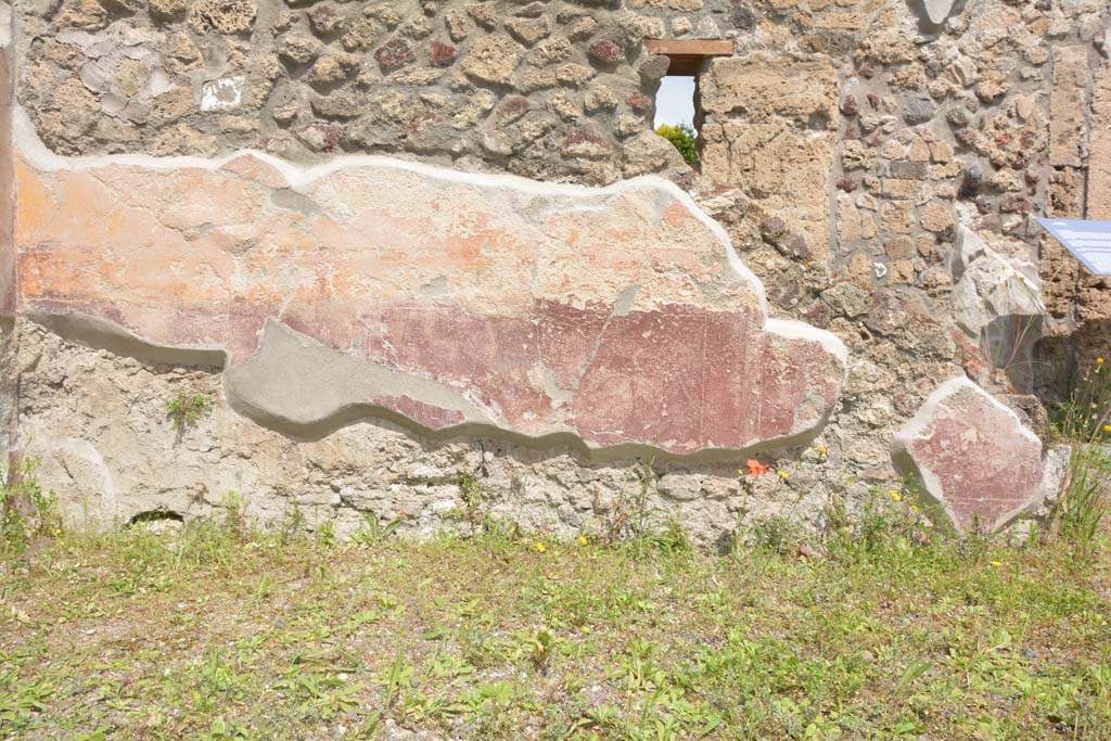 IX.5.9 Pompeii. May 2017. Room “d”, detail from lower north wall.
Foto Christian Beck, ERC Grant 681269 DÉCOR.