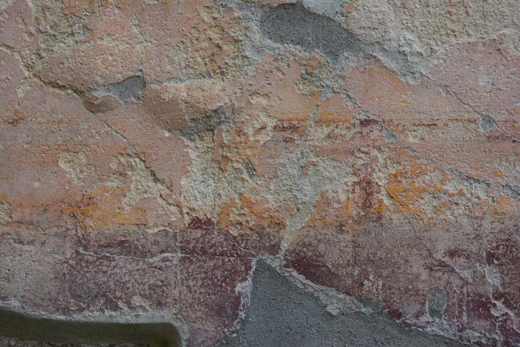 IX.5.9 Pompeii. March 2017. Room “d”, detail of remaining painted wall decoration.
Foto Christian Beck, ERC Grant 681269 DÉCOR.