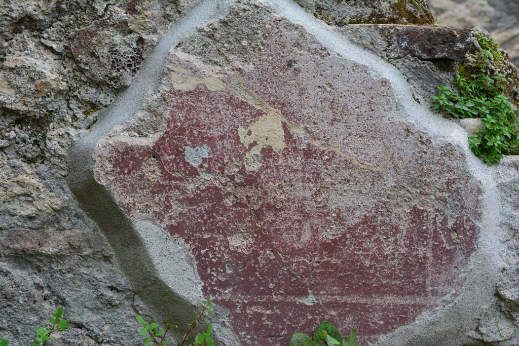 IX.5.9 Pompeii. March 2017. Room “d”, detail of painted wall plaster at east end of north wall.
Foto Christian Beck, ERC Grant 681269 DÉCOR.