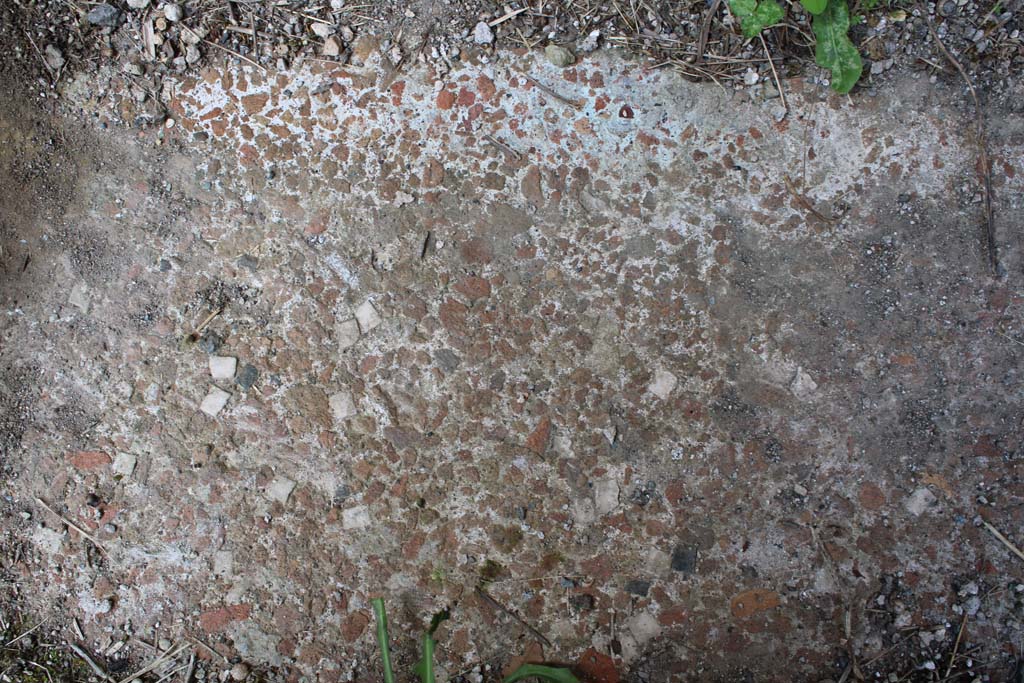 IX.5.9 Pompeii. May 2019. Room d, detail of flooring in ala. 
Foto Christian Beck, ERC Grant 681269 DÉCOR.