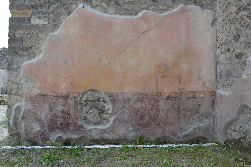 IX.5.9 Pompeii. May 2017. Room “d”, lower south wall.
Foto Christian Beck, ERC Grant 681269 DÉCOR.