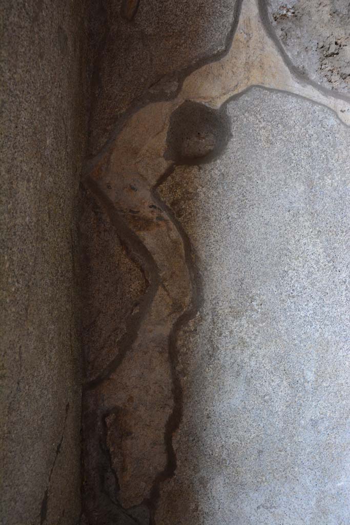 IX.5.9 Pompeii. March 2017. Room “e”, detail from south wall in south-east corner.
Foto Christian Beck, ERC Grant 681269 DÉCOR.