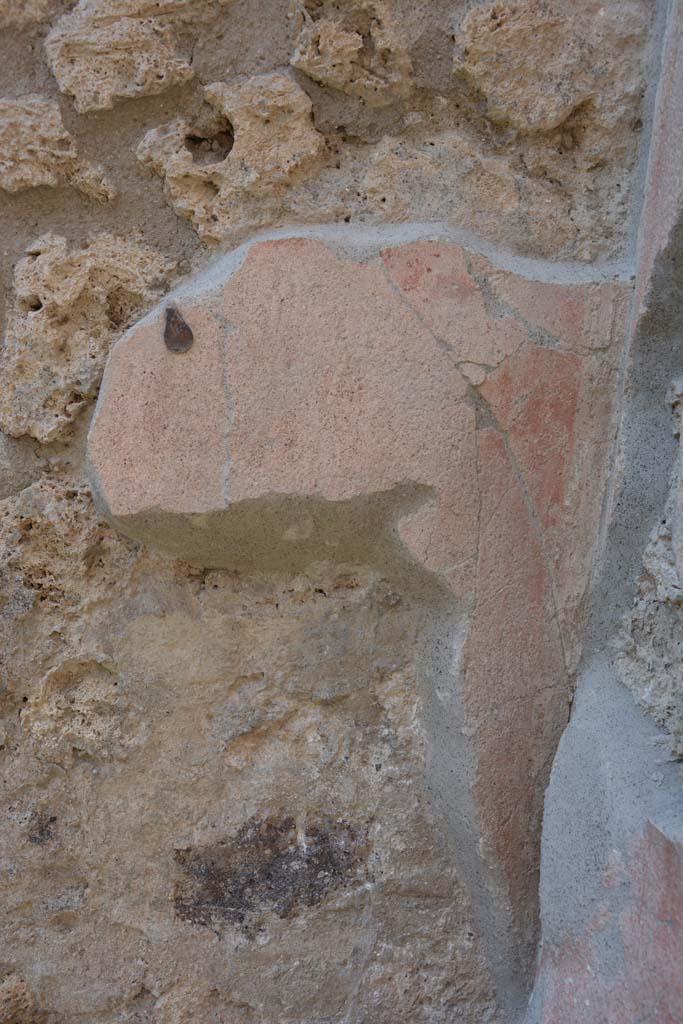 IX.5.9 Pompeii. May 2017. Room “g”, detail from upper north wall in north-east corner.
Foto Christian Beck, ERC Grant 681269 DÉCOR.