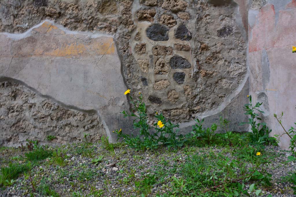 IX.5.9 Pompeii. March 2017. Room “g”, detail from zoccolo on lower north wall towards north-east corner.
Foto Christian Beck, ERC Grant 681269 DÉCOR.