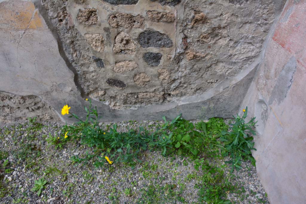 IX.5.9 Pompeii. March 2017. Room “g”, lower north wall at east end.
Foto Christian Beck, ERC Grant 681269 DÉCOR.