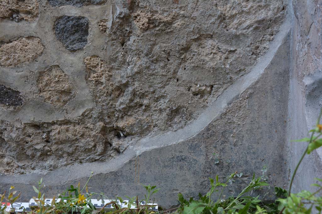 IX.5.9 Pompeii. May 2017. Room “g”, detail of lower north wall zoccolo in north-east corner.
Foto Christian Beck, ERC Grant 681269 DÉCOR.