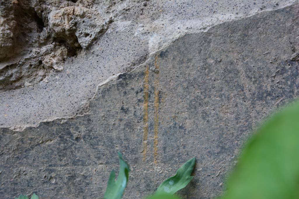 IX.5.9 Pompeii. March 2017. Room “g”, detail from painted lower zoccolo from north wall in north-west corner.
Foto Christian Beck, ERC Grant 681269 DÉCOR.
