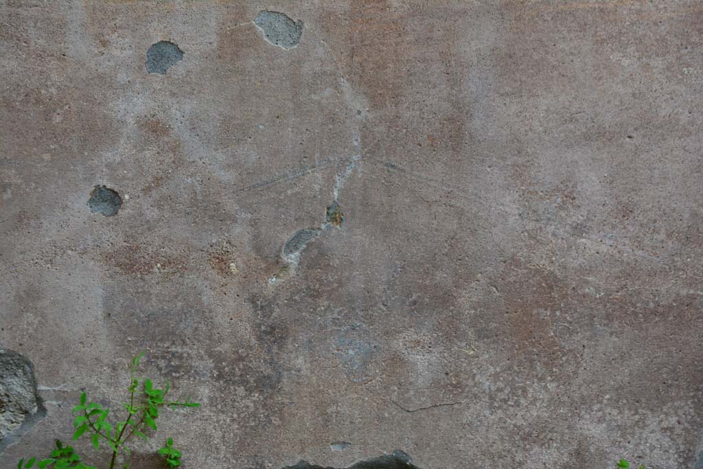 IX.5.9 Pompeii. March 2017. Room “g”, south wall, detail from centre of zoccolo below yellow central panel.
Foto Christian Beck, ERC Grant 681269 DÉCOR.
