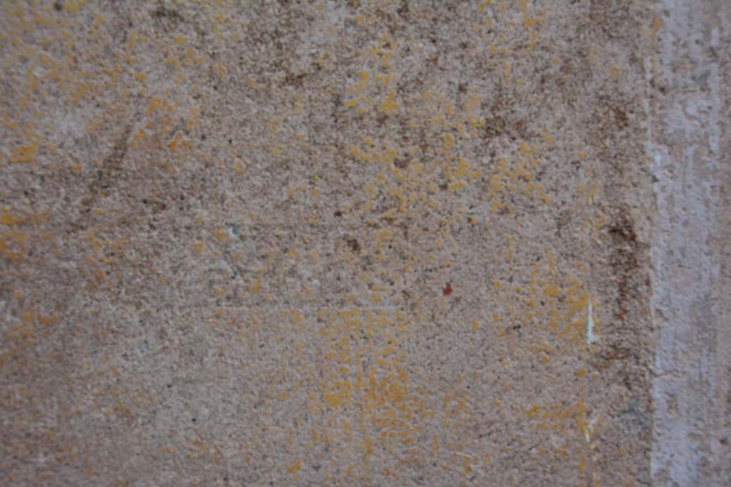 IX.5.9 Pompeii. March 2017. Room “g”, detail of border edging from yellow central panel on south wall.
Foto Christian Beck, ERC Grant 681269 DÉCOR.