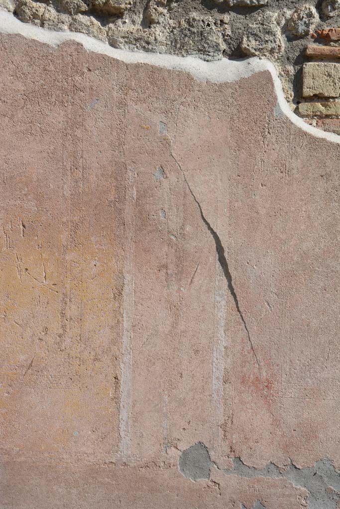 IX.5.9 Pompeii. May 2017. 
Room “g”, detail from south wall on west side of central yellow panel.
Foto Christian Beck, ERC Grant 681269 DÉCOR.