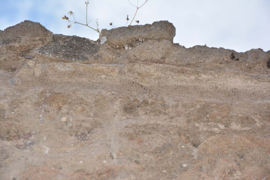 IX.5.9 Pompeii. May 2017. Room “h”, detail from upper north wall at east end.
Foto Christian Beck, ERC Grant 681269 DÉCOR.