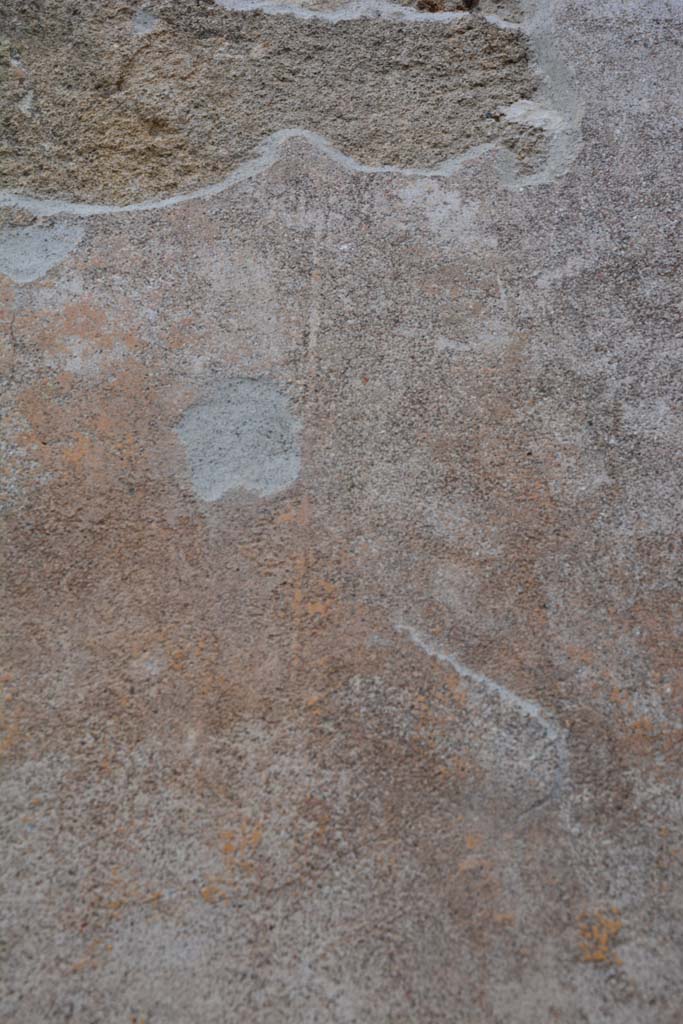 IX.5.9 Pompeii. March 2017. Room “h”, detail from upper north wall.
Foto Christian Beck, ERC Grant 681269 DÉCOR.