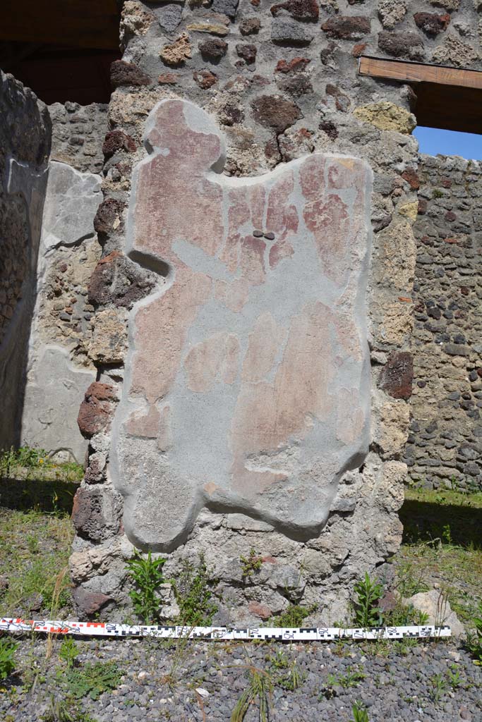 IX.5.9 Pompeii. May 2017. 
Room “i”, detail of painted plaster on pilaster between two doorways of room “m”. 
Foto Christian Beck, ERC Grant 681269 DÉCOR.