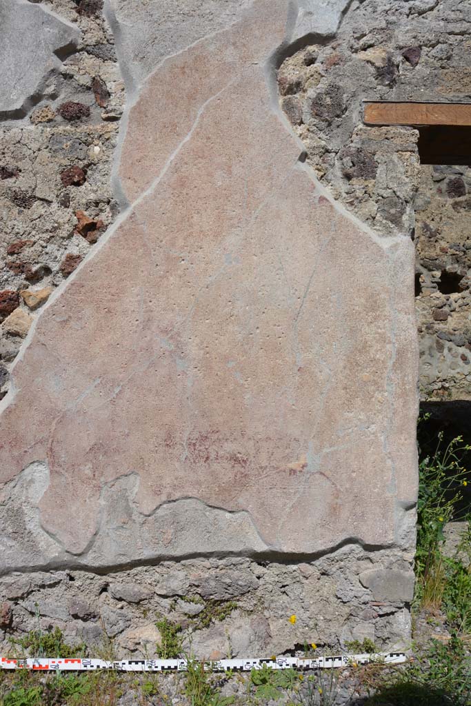 IX.5.9 Pompeii. May 2017. 
Room “i”, east wall of portico on north side of doorway to room “n”.
Foto Christian Beck, ERC Grant 681269 DÉCOR.
