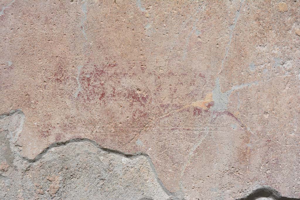 IX.5.9 Pompeii. May 2017. 
Room “i”, detail of painted decoration from east wall of portico on north side of doorway to room “n”.
Foto Christian Beck, ERC Grant 681269 DÉCOR.