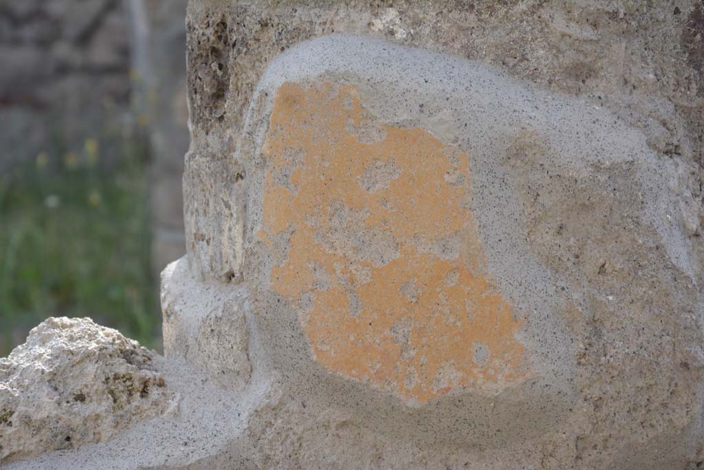 IX.5.9 Pompeii. May 2017. Room “i”, detail from painted column in north-east corner of portico.  
Foto Christian Beck, ERC Grant 681269 DÉCOR.