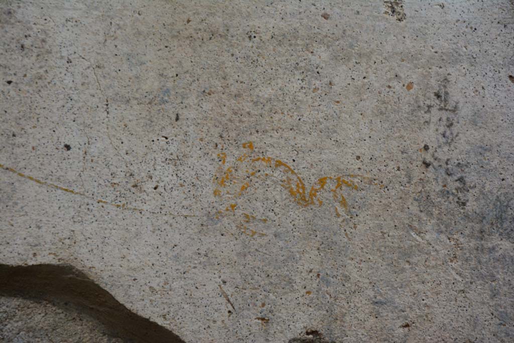 IX.5.11 Pompeii. March 2017. Room k, detail from zoccolo on east wall below central panel.
Foto Christian Beck, ERC Grant 681269 DÉCOR