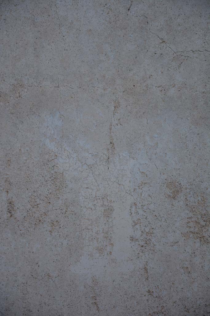 IX.5.11 Pompeii. May 2017. 
Room k, detail of figure of Clio in middle of centre panel on east wall.
Foto Christian Beck, ERC Grant 681269 DÉCOR.