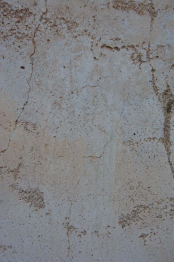 IX.5.11 Pompeii. March 2017. 
Room k, centre of panel at east end of north wall, figure of Muse Polyhymnia wrapped in her cloak.
Foto Christian Beck, ERC Grant 681269 DÉCOR.