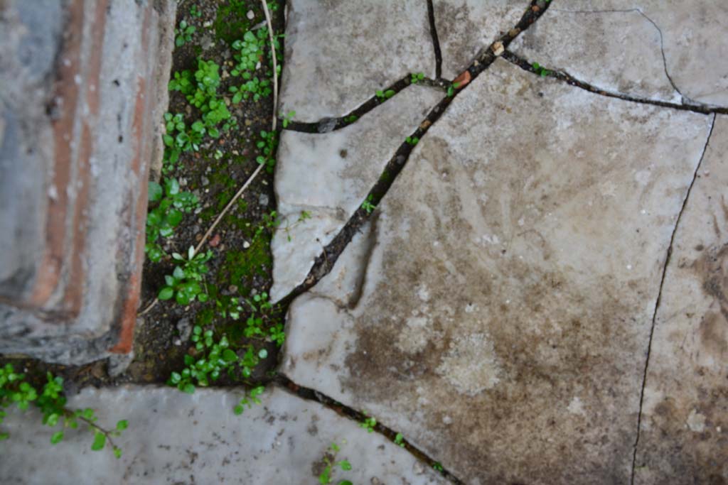IX.5.11 Pompeii. March 2017. Room f, detail of doorway threshold.   
Foto Christian Beck, ERC Grant 681269 DÉCOR.