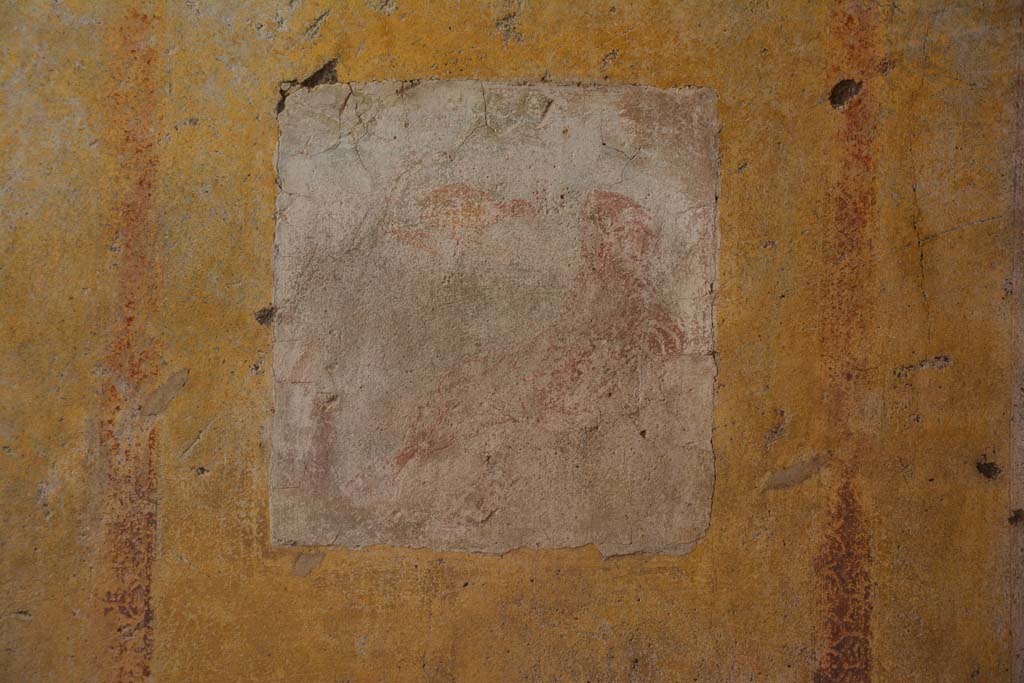 IX.5.11 Pompeii. May 2017. Room f, central painting from south wall.
Foto Christian Beck, ERC Grant 681269 DÉCOR.