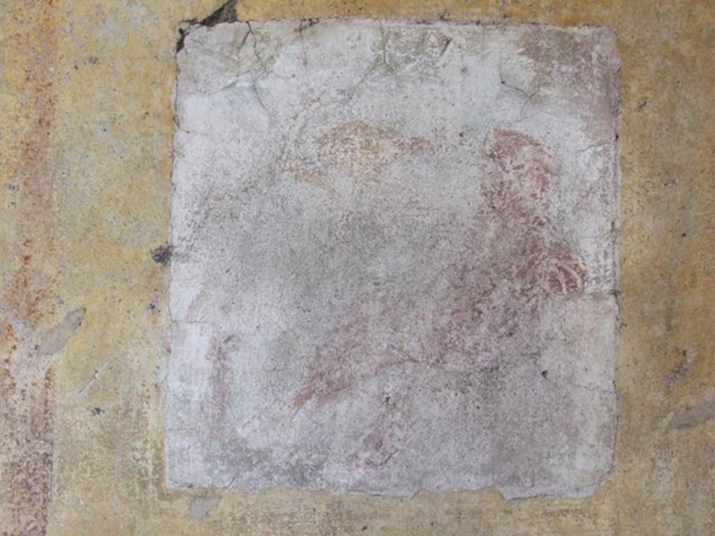 IX.5.11 Pompeii. December 2007. Room 7, remains of wall painting on south wall.  According to Bragantini, the central wall painting on the south wall was of Ganimede and the eagle.  See Bragantini, de Vos, Badoni, 1986. Pitture e Pavimenti di Pompei, Parte 3. Rome: ICCD. (p.473).  See Sogliano, A., 1879. Le pitture murali campane scoverte negli anni 1867-79. Napoli: (p.23, no.86)