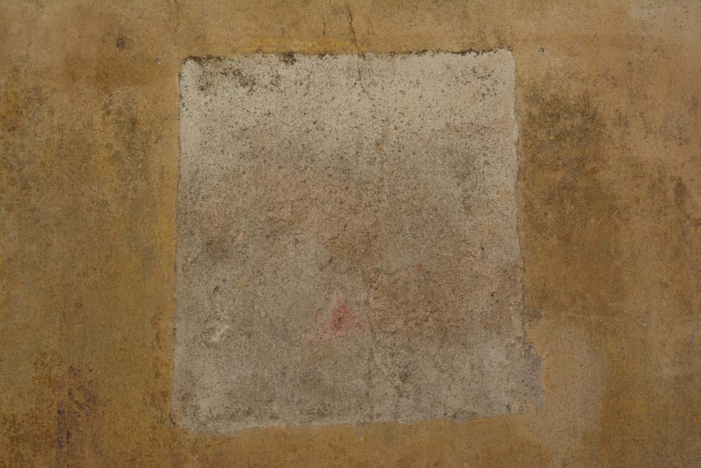 IX.5.11 Pompeii. May 2017. Room f, central wall painting from west wall.
Foto Christian Beck, ERC Grant 681269 DÉCOR.