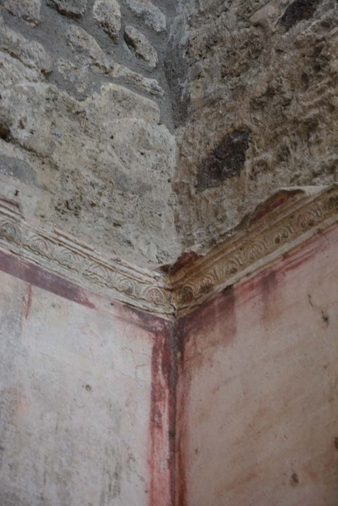 IX.5.11 Pompeii. March 2017. Room f, detail of stucco cornice from north-west corner. 
Foto Christian Beck, ERC Grant 681269 DÉCOR.