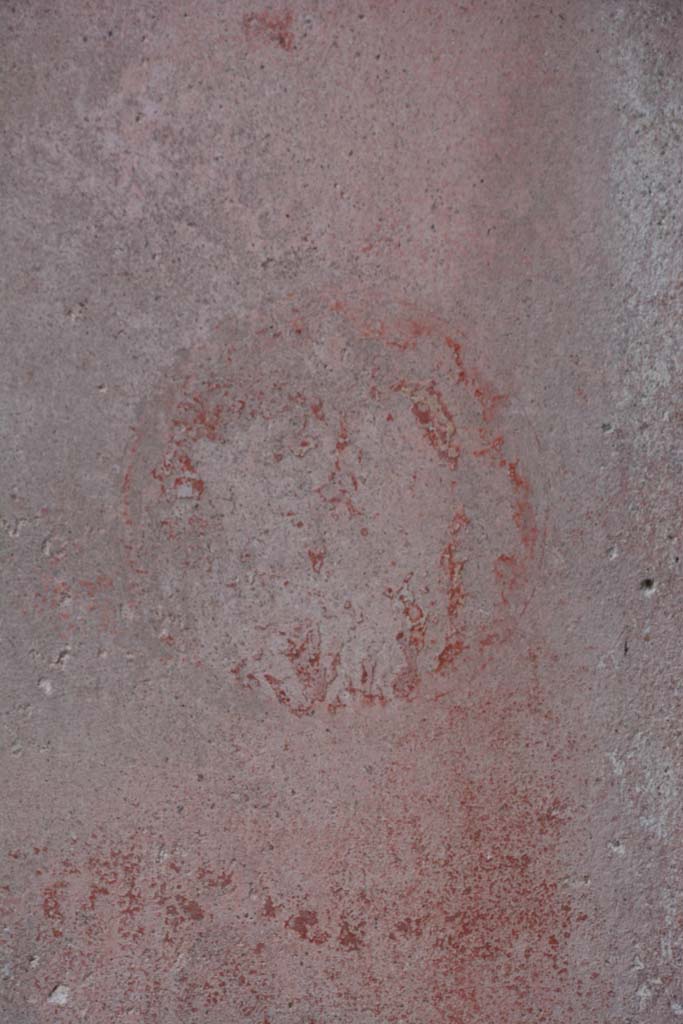 IX.5.11 Pompeii. March 2017. Room e, detail from medallion on east end of south wall. 
Foto Christian Beck, ERC Grant 681269 DÉCOR.