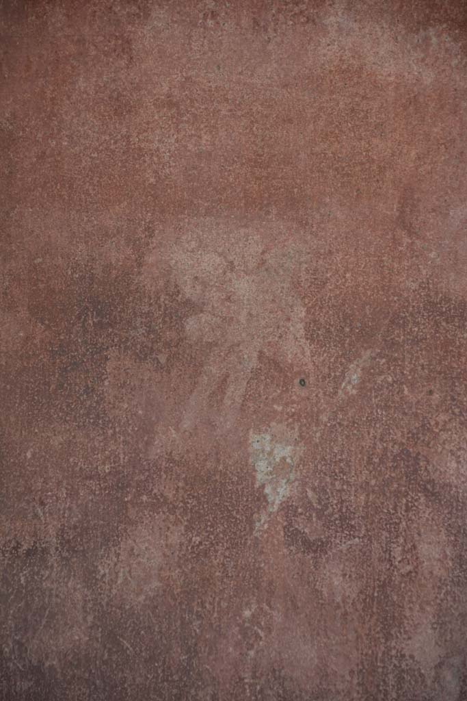 IX.5.11 Pompeii. May 2017. Room e, detail of flying cupid from west wall at south end.  
Foto Christian Beck, ERC Grant 681269 DÉCOR.