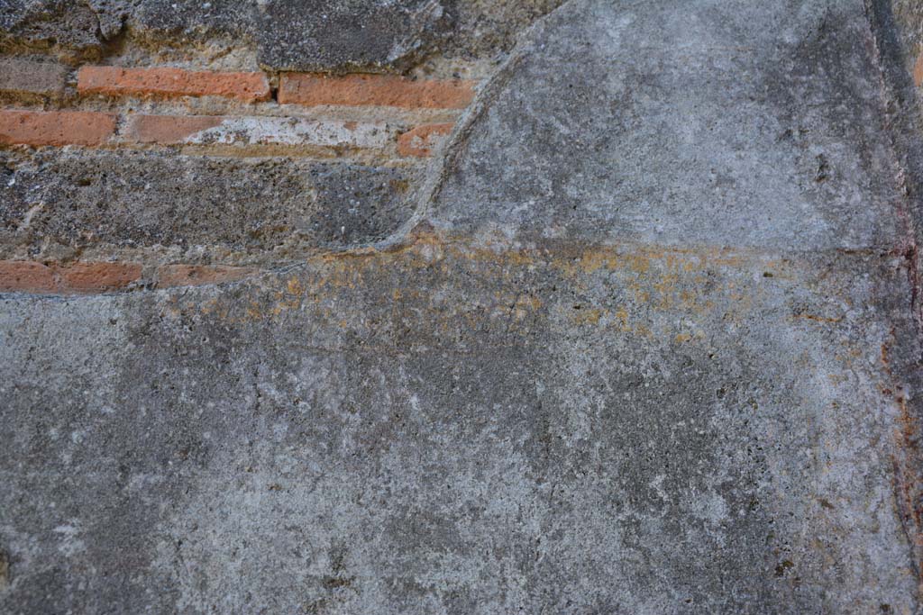 IX.5.11 Pompeii. May 2017. Room d, east wall, detail of remaining painted decoration.
Foto Christian Beck, ERC Grant 681269 DÉCOR.