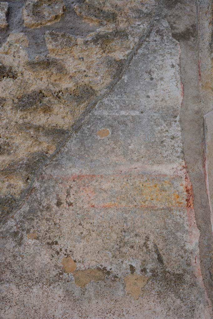 IX.5.11 Pompeii. May 2017. 
Room d, detail of painted decoration at upper west end of south wall.
Foto Christian Beck, ERC Grant 681269 DÉCOR.