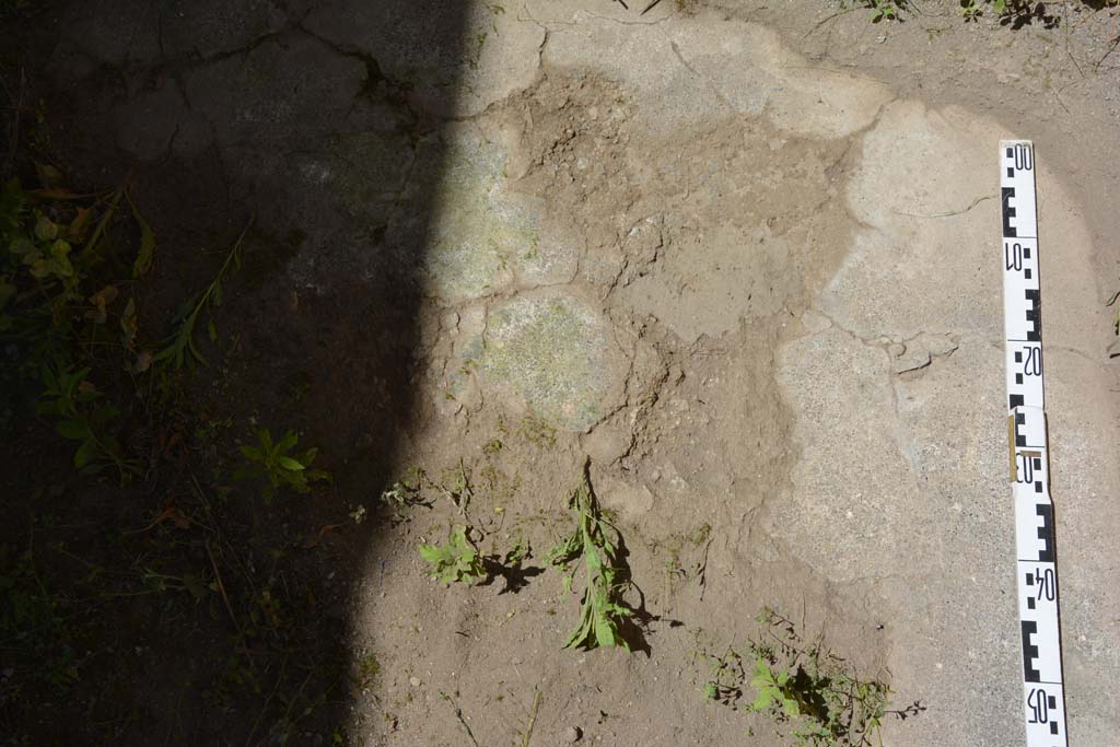 IX.5.11 Pompeii. May 2017. Room d, detail of flooring near west wall. 
Foto Christian Beck, ERC Grant 681269 DÉCOR.