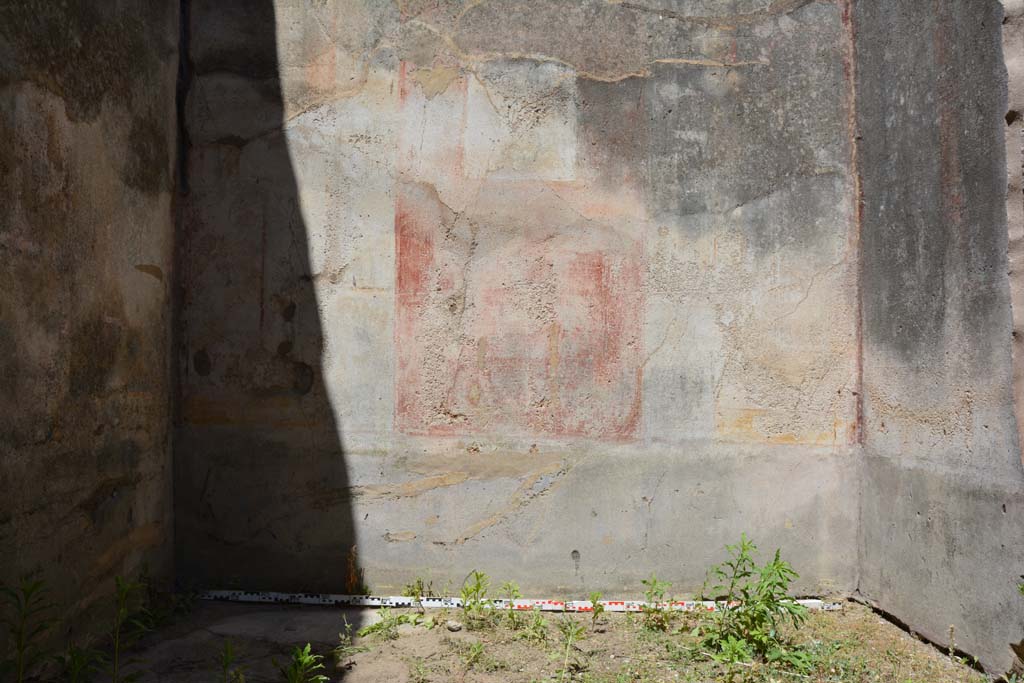 IX.5.11 Pompeii. May 2017. Room d, lower north wall.
Foto Christian Beck, ERC Grant 681269 DÉCOR.
This room would have been decorated in the IVth Style, on the north wall the zoccolo and plinth were on a black background.
Painted vases were seen in the centre of the panelled black zoccolo, with vine-branches at the sides.
The middle zone, painted on a red background had a painted central panel, and white side panels with vignettes.
In the upper zone were painted figures between architecture.
