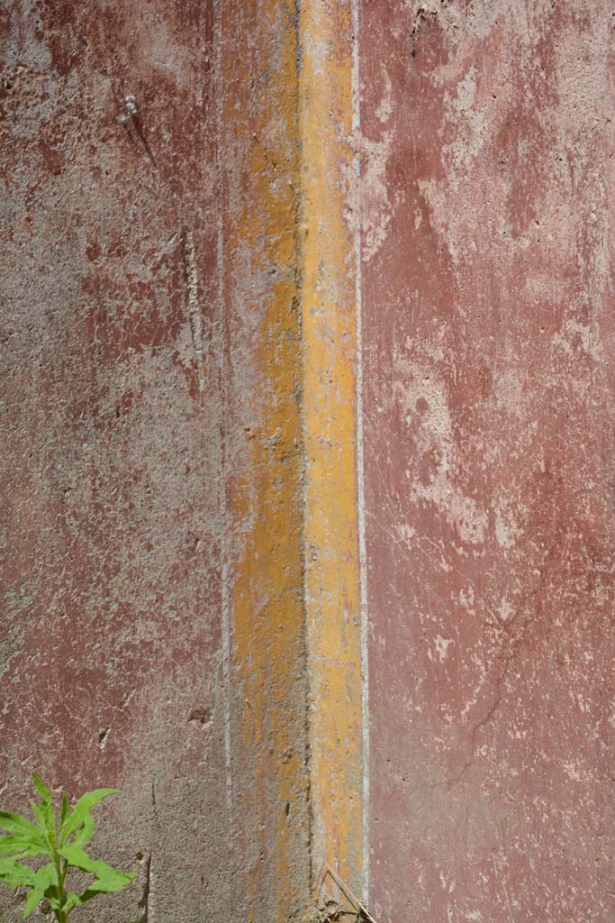 IX.5.11 Pompeii. May 2017. Room c, detail of painted decoration in north-west corner.      
Foto Christian Beck, ERC Grant 681269 DÉCOR