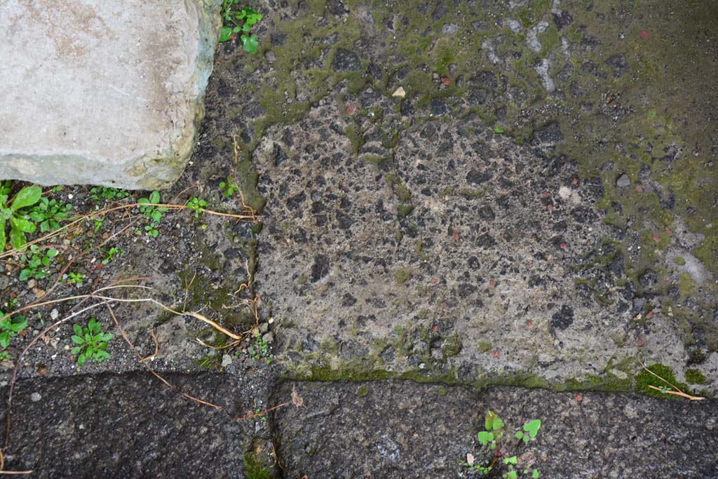 IX.5.11 Pompeii. March 2017. Room m, detail of flooring at north end, looking south.
Foto Christian Beck, ERC Grant 681269 DÉCOR.