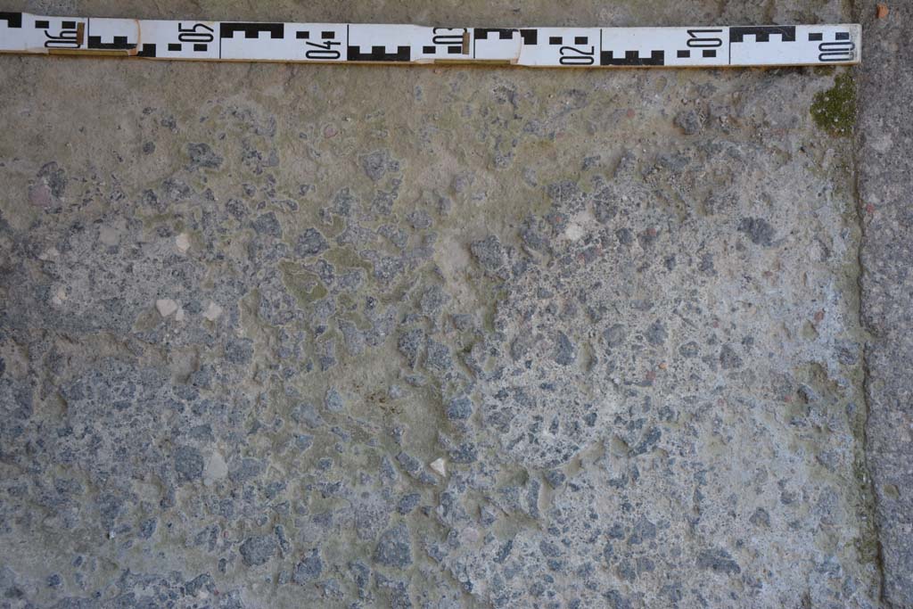 IX.5.11 Pompeii. May 2017. Room m, detail of flooring near doorway threshold at north end. 
Foto Christian Beck, ERC Grant 681269 DÉCOR.