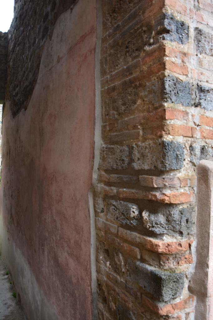 IX.5.11 Pompeii. March 2017. Room m, looking south along west wall from north end. 
Foto Christian Beck, ERC Grant 681269 DÉCOR.