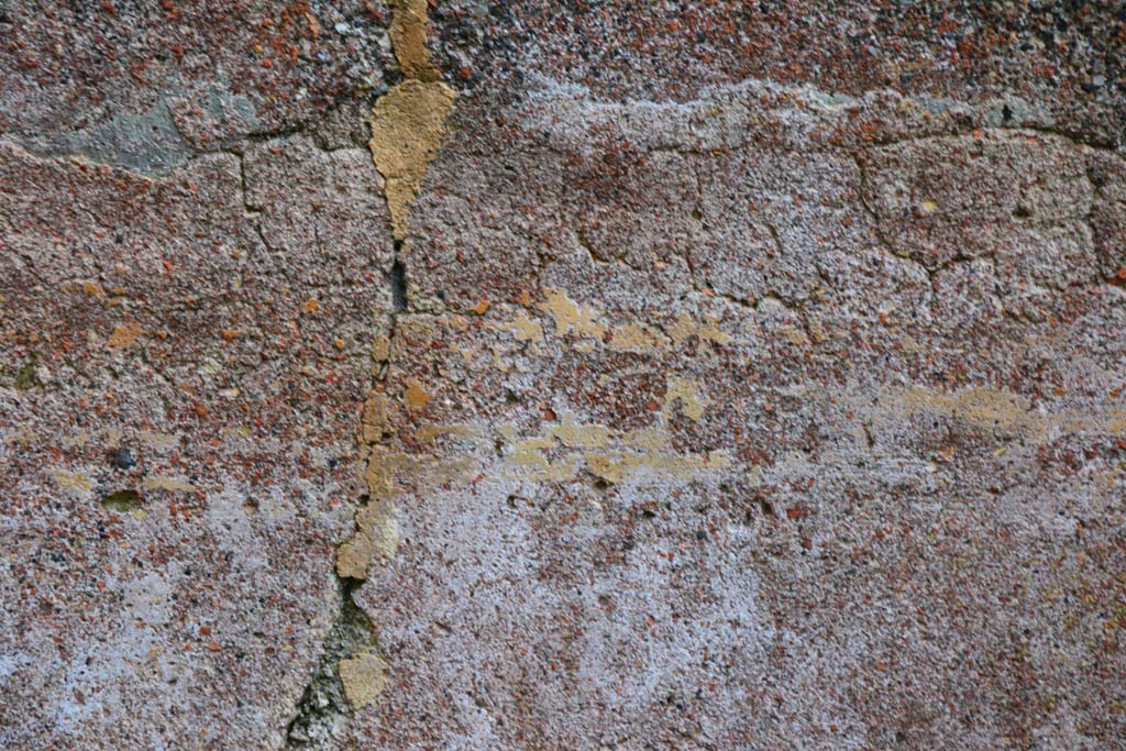 IX.5.11 Pompeii. March 2017. Peristyle n, detail from south wall.
Foto Christian Beck, ERC Grant 681269 DÉCOR.