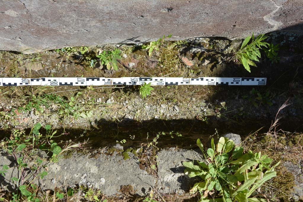 IX.5.11 Pompeii. May 2017. Peristyle n, south wall of garden area, and detail from rear of triclinium. 
Foto Christian Beck, ERC Grant 681269 DÉCOR.