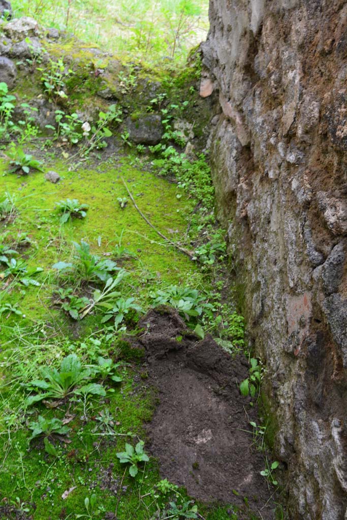 IX.5.11 Pompeii. March 2017. Room u, looking east along south wall in room under stairs.
Foto Christian Beck, ERC Grant 681269 DÉCOR.
