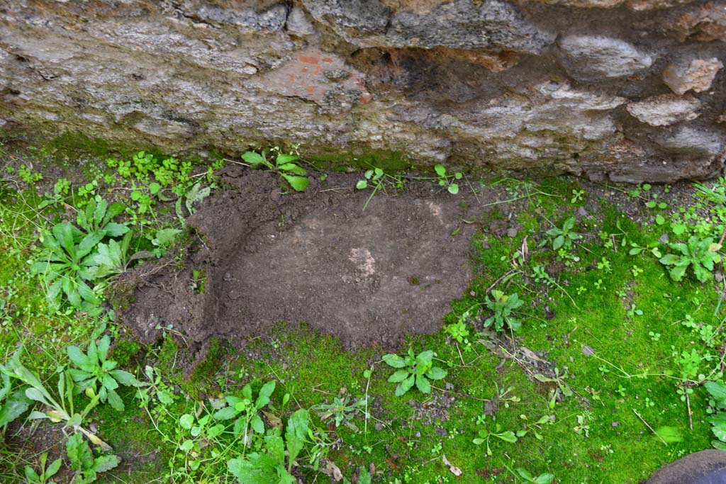 IX.5.11 Pompeii. March 2017. Room u, detail from near south wall.
Foto Christian Beck, ERC Grant 681269 DÉCOR.